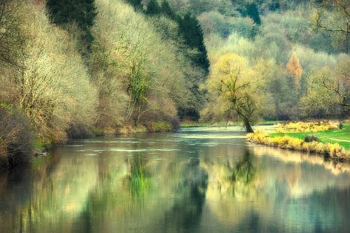 Reflection forest in autumn shades in water (Belgium)