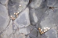 Bucht von Sandymouth 18