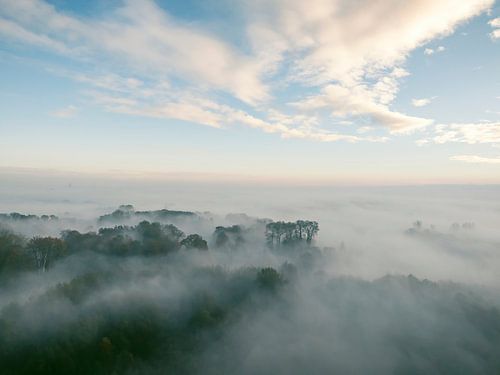Mistig bos vanuit de lucht tijdens de herfst