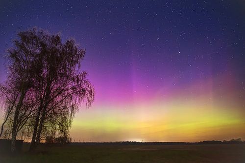 Polarlicht über Norddeutschland – Sanfte Aurora in Grün und Violett von Tanja Riedel
