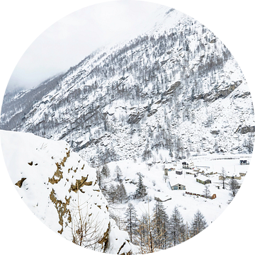 Steenbok kijkt uit over dorp