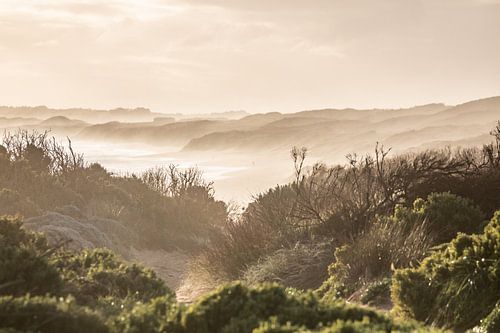 Goldene Stunde auf Phillip Island