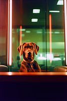 Chien attendant dans la fenêtre