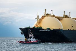 Shandong Wacholder und Wasserstraße von Jan Georg Meijer