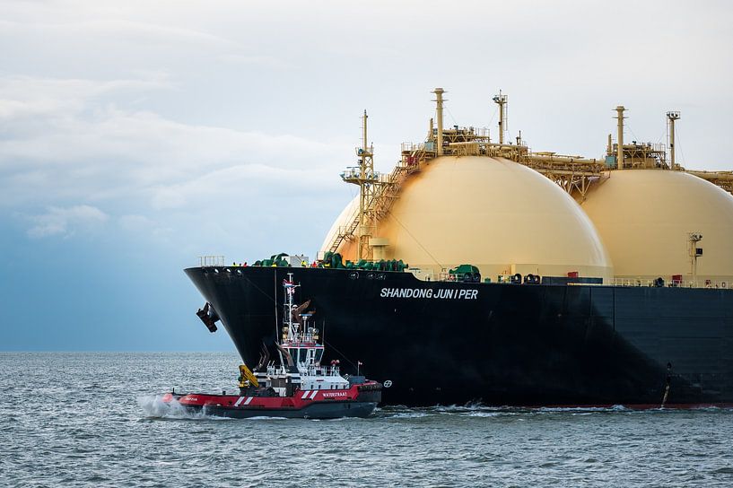Shandong Wacholder und Wasserstraße von Jan Georg Meijer