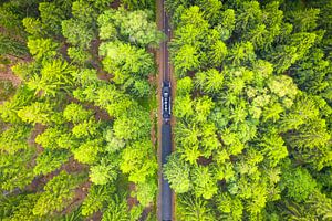 Dampfzug im Wald (Brockenbahn) von Droninger