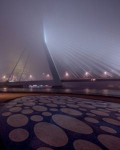 The Mysterious Swan