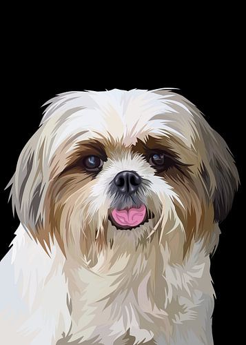 Shih tzu vector