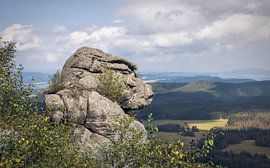 Table Mountain National Park, Monkey Head, Poland by PhotoCluster