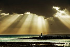 Stralen by Harrie Muis