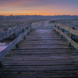 Brug over de Reest van Douwe Schut