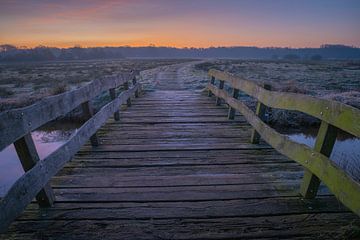 Brug over de Reest van Douwe Schut