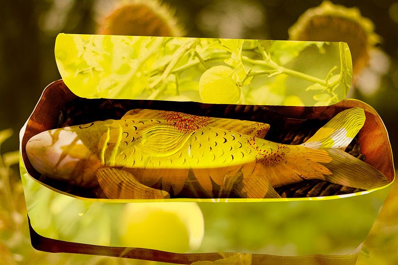 Umgestaltung von True Color Stories