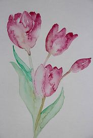Tender Tulips by Anja Zinken Bertens