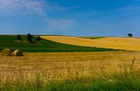 Ardennes