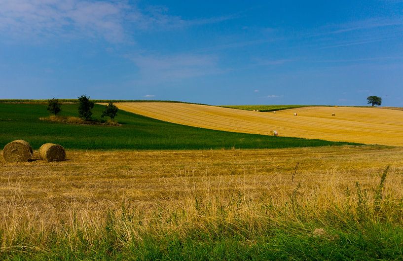 Ardennen van Ludo Marrink