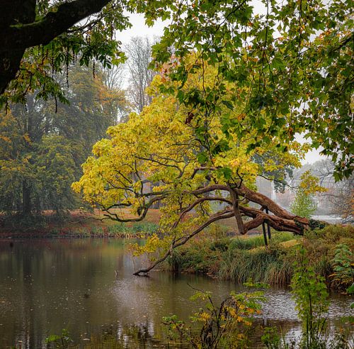 Wilhelminapark Breda