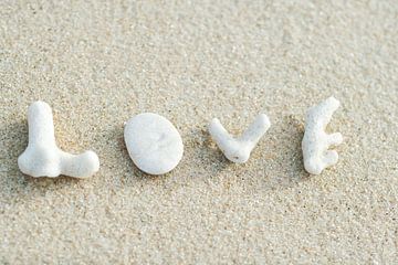LP 70505953 Korallenstücke, die das Wort Liebe am Strand buchstabieren von BeeldigBeeld Food & Lifestyle