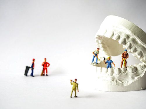 High maintenance van Lex Schulte