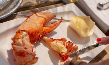 Heerlijk lekker kreeft eten in de mediterraanse zon