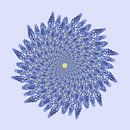 spirale de jacinthes de raisin par Klaartje Majoor Aperçu
