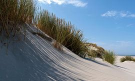 Dünenreihe Nordseestrand Terschelling von Dan Photo Shaman