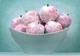 Apple Blossoms by Chrystyne Novack Art and Photography