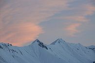 Sonnenaufgang in den Berner Alpen von Martin Steiner Miniaturansicht