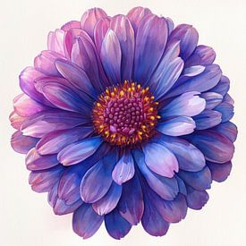 Aster Dämmerung von Chromatic Fusion Studio