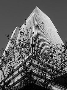 L'angle de vue de Rotterdam