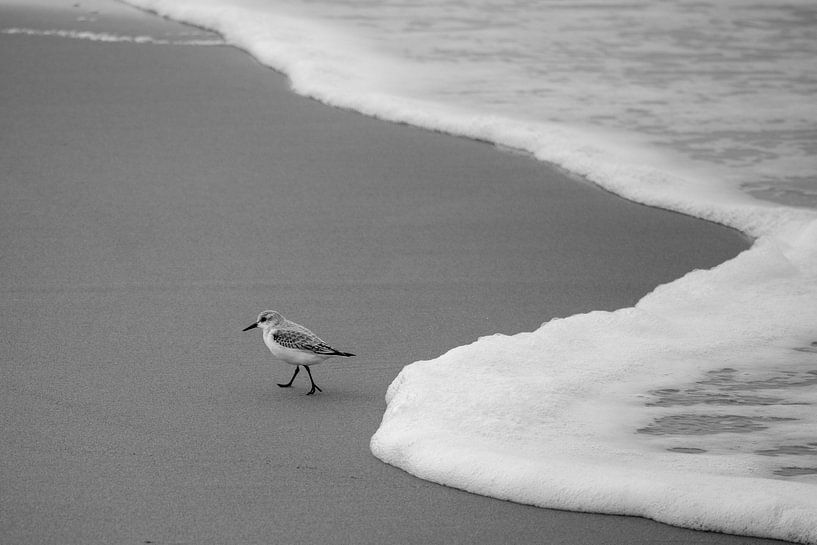Watch out for wet feet! by Lianne van Dijk