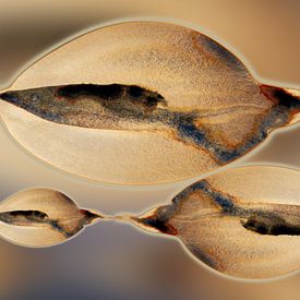 Tidal Drift Aqua 984 - Soft Organic Coastal Shapes in Warm Sand & Sea Mist Blue by Saskia Mensink PRINTS