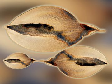 Tidal Drift Aqua 984 - Formes côtières organiques douces en sable chaud &amp ; bleu brume de mer sur Saskia Mensink PRINTS