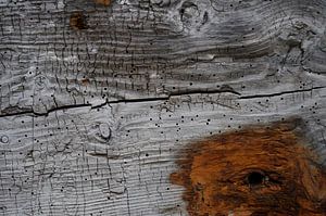 Altes Holz Bryggen V von Cor Ritmeester