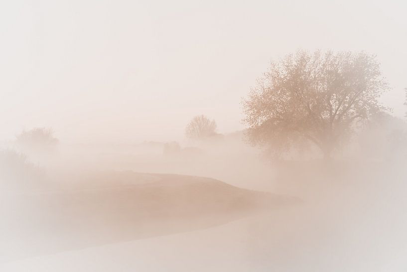 Bossche Broek in the mist I by Frederike Heuvel