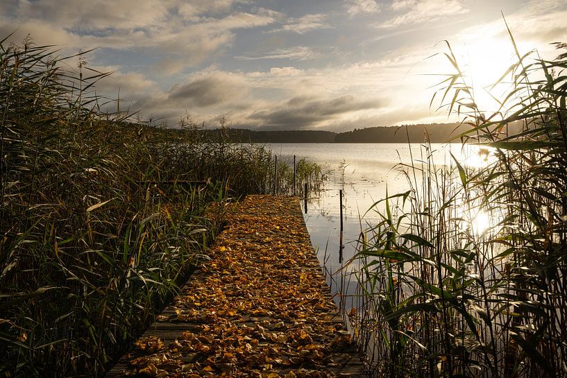 Wutzsee, Lindow, Brandenburg, Germany by Alexander Ludwig