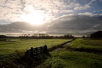 Weilanden bij Naardermeer.