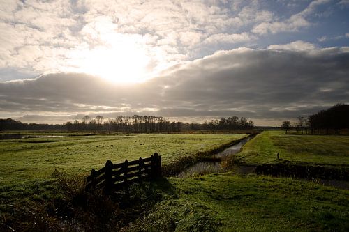 Weilanden bij Naardermeer.