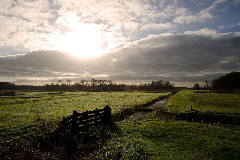 Weilanden bij Naardermeer. van Frank de Ridder