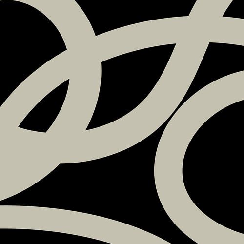 Abstract Organic Lines nr. 2