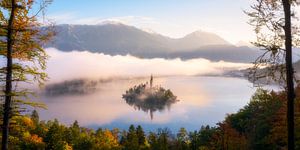 Un matin d'automne doré à Bled - Slovénie sur Daniel Gastager