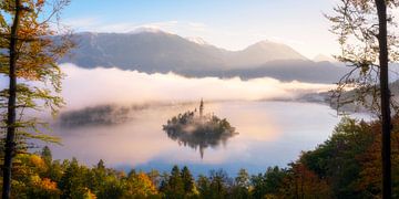 Een gouden herfstochtend in Bled - Slovenië van Daniel Gastager