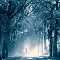 silver light
