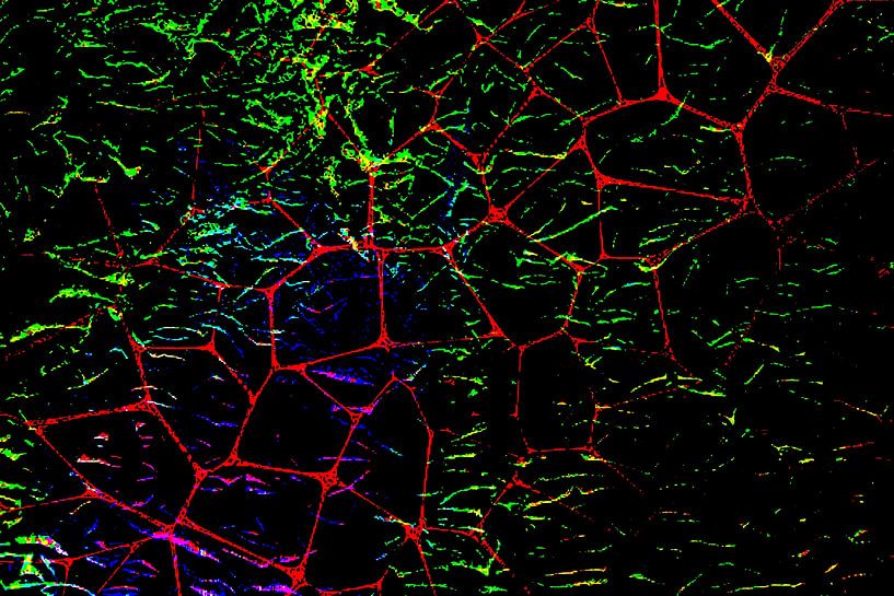 Abstractart : Het rode net van Photoart-Naegele