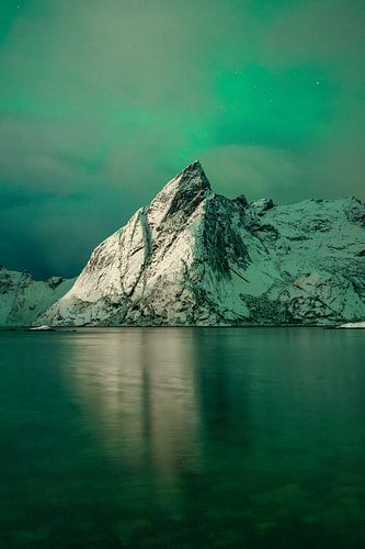 Het verborgen groen II