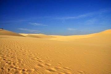 Vietnamese dunes