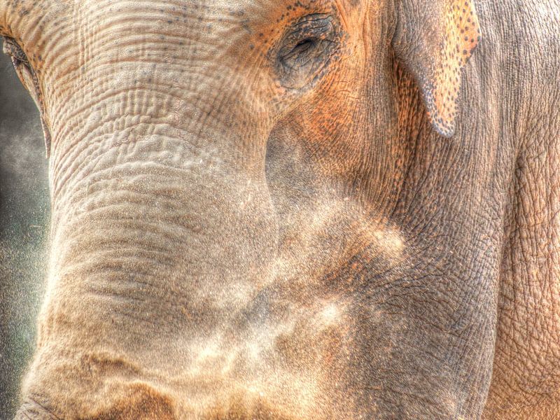 Dust of Africa by Photo Art SD