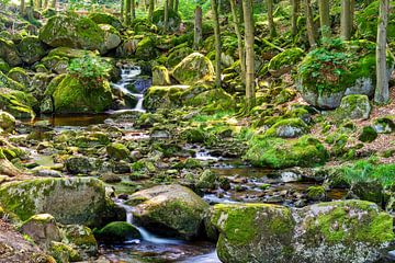 Uitzicht op de watervallen van de Ilse in het Harzgebergte van Andreas Völkel