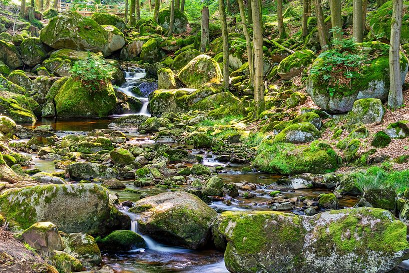 Vue des chutes d'eau de la rivière Ilse dans les montagnes du Harz par Andreas Völkel