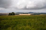 Landschaft des Mount Kenia von Andy Troy Miniaturansicht